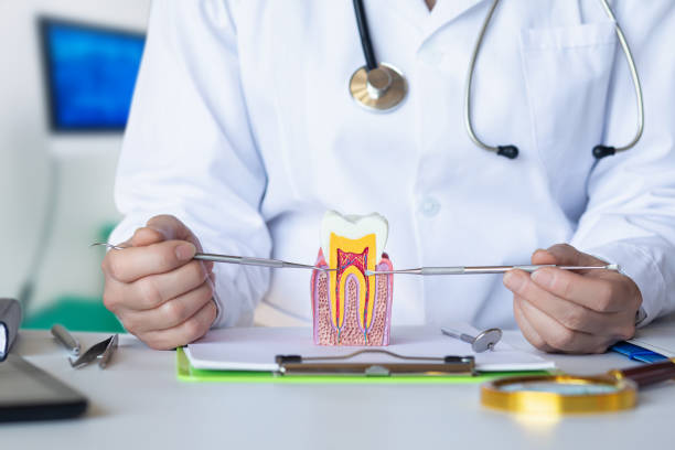 Best Broken or Cracked Tooth Emergency Dentist in Bennett, CO